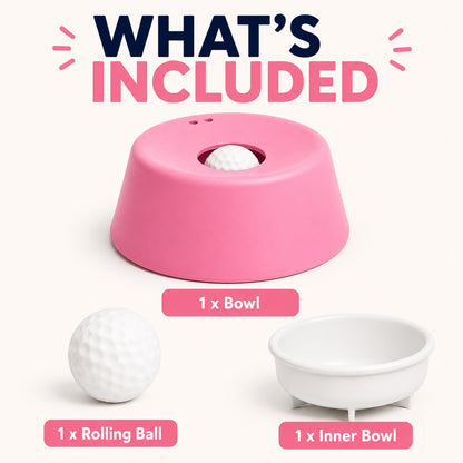 Anti‑Choking Slow Feeding Dog Bowl