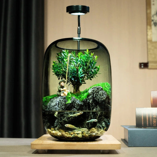 Mini Desktop Glass Aquarium Fish Tank with Light