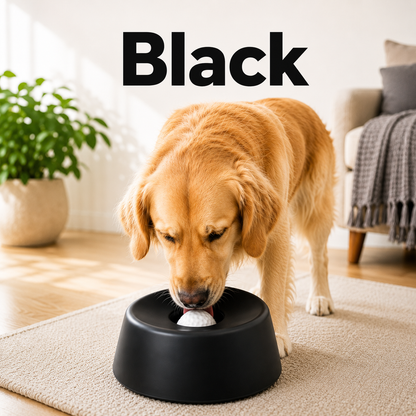 Anti‑Choking Slow Feeding Dog Bowl