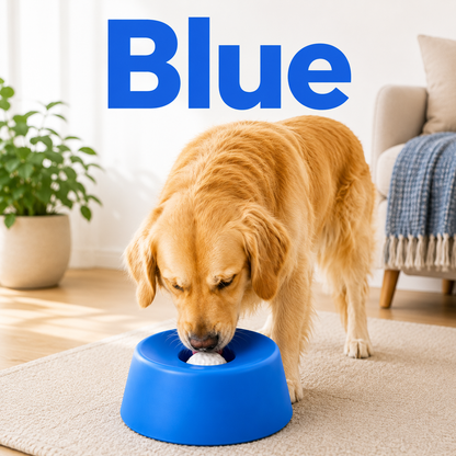 Anti‑Choking Slow Feeding Dog Bowl