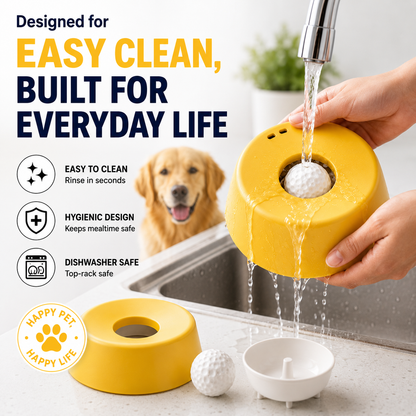 Anti‑Choking Slow Feeding Dog Bowl