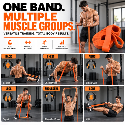 Premium Resistance Bands (9-152 KG | 20-335 LB)