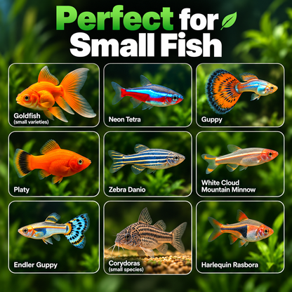 Mini Indoor Glass Fish Tank