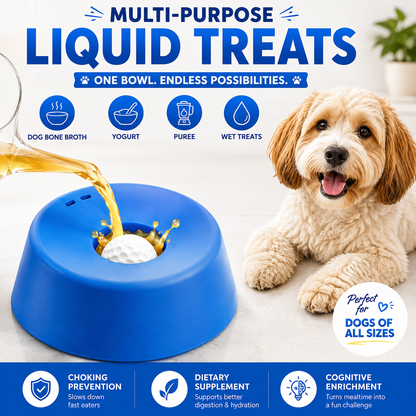 Anti‑Choking Slow Feeding Dog Bowl