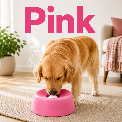 Anti‑Choking Slow Feeding Dog Bowl