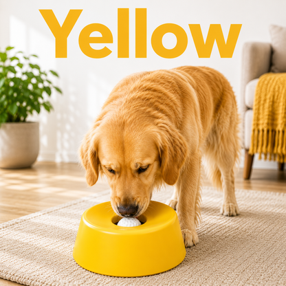 Anti‑Choking Slow Feeding Dog Bowl